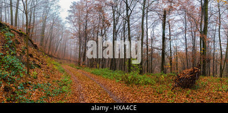 landscape in autumn Stock Photo