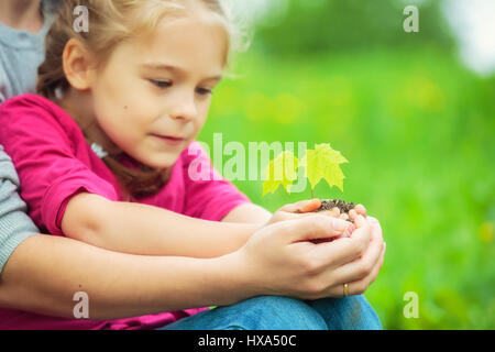 Adult and child holding little green plant in hands Stock Photo