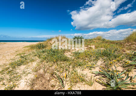 Dunes in Zahara de los Atunes natural reserve, Spain Stock Photo