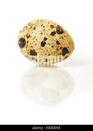 Single egg isolated on white Stock Photo