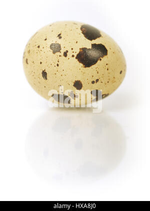 Single egg isolated on white background Stock Photo