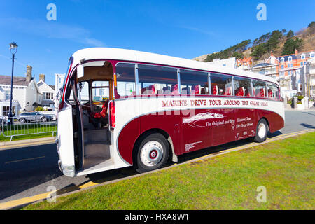 A vintage Marine Drive Tour bus in red and white parked adjacent to the Pier waiting for customers at the popular seaside resort of Llandudno, Wales Stock Photo