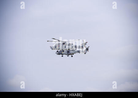 LEEUWARDEN, NETHERLANDS - JUNE 6, 2016: Two Royal Navy AgustaWestland AW159 Wildcat helicopters in action during the Royal Dutch Air Force days Stock Photo
