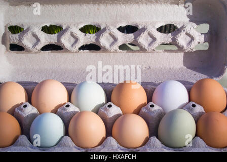 A Dozen Chicken Eggs in Carton Stock Photo