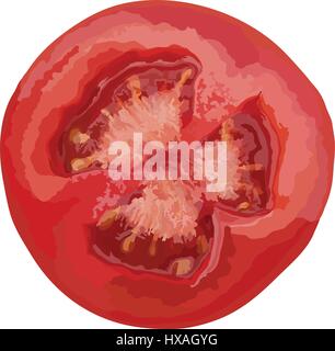 Tomato slice isolated on white background, top view Stock Vector