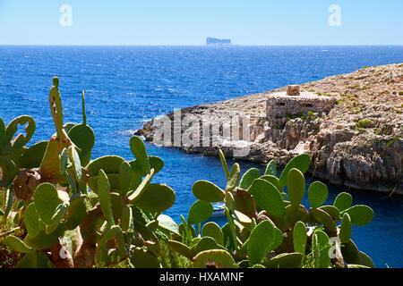 Cactus Opuntia over water of Wied Zurrieq Fjord on south end of Malta island Stock Photo