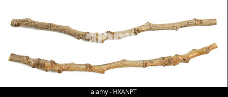 two small branches isolated on white background Stock Photo