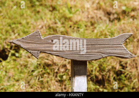 Old wooden arrow indicating the direction in park Stock Photo