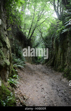 An ancient holloway, or sunken laneway, near Dorchester in Dorset, England, United Kingdom. Stock Photo