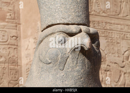 Horus the Falcon God at Edfu Temple in Egypt Stock Photo