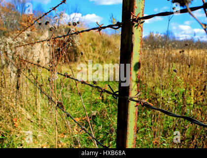 Midwestern Scenery including Meadow with Barbed Wire Fence Stock Photo