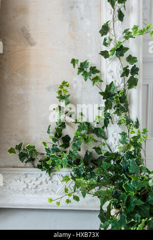 White art stucco gypsum wall with a grean loach branch on it Stock Photo