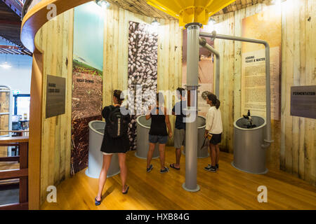 Visitors learning about the history of Bundaberg Rum in the Museum Experience.  Bundaberg, Queensland, Australia Stock Photo