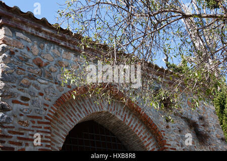 Fragment of restored medieval mosque with arch built from stone and brick with tree branches entering frame Stock Photo
