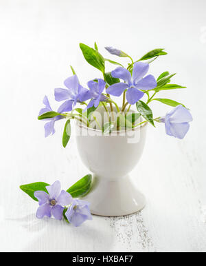 Bunch of spring flowers (Vinca)  on the white wooden plank. Easter decor. Stock Photo