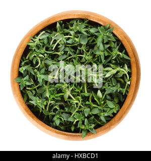 Fresh thyme stems in wooden bowl. Green herb with culinary, medicinal and ornamental uses. Thymus vulgaris is a relative of oregano. Stock Photo