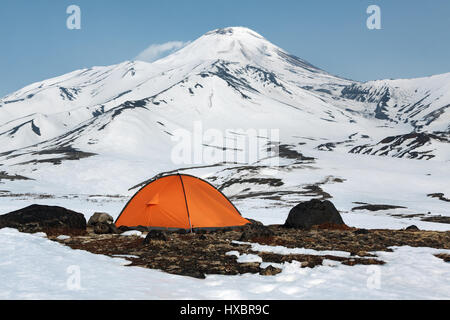 Orange camping (tourist) tent stands on meadow surrounded by snow at foot of beautiful active Avacha Volcano on Kamchatka Peninsula in Russia Stock Photo