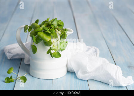 Fresh watercress in a jug with white muslin cloth Stock Photo