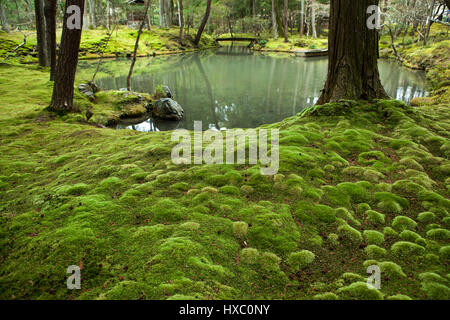 The Moss Garden at Saihoji Temple is one of the few temples in Kyoto where visitors must request an invitation in advance before their visit. Visitors Stock Photo