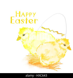 watercolor Easter background of chickens and cracked egg Stock Photo