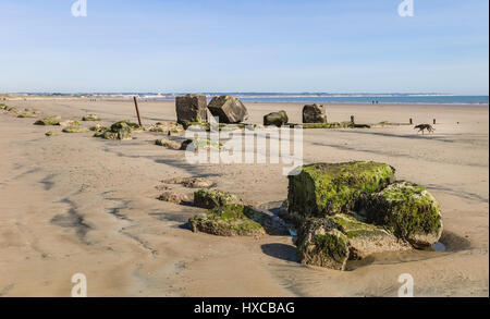 Old sea defenses along the sandy beach at low tide on a fine spring morning at Fraisthorpe, Bridlington, Yorkshire, UK. Stock Photo