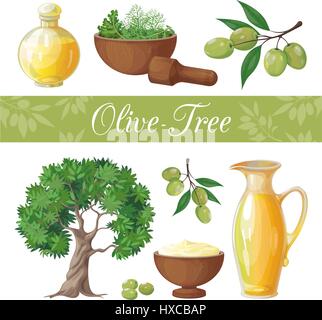 Vector set of objects isolated on white background. On the theme of the olive tree, olive production and its application. It achieved in a realistic s Stock Vector