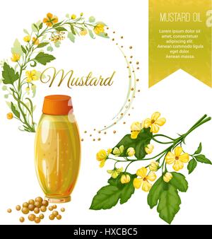 Vector set of objects on mustard, its fruits and its application. Mustard oil. Background and Label. Achieved in a realistic stile. Objects isolated Stock Vector