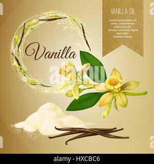 Vector set of objects on the theme of vanilla and its application. Vanilla powder. Seasoning. Frame and Label. Achieved in a realistic stile. Objects  Stock Vector