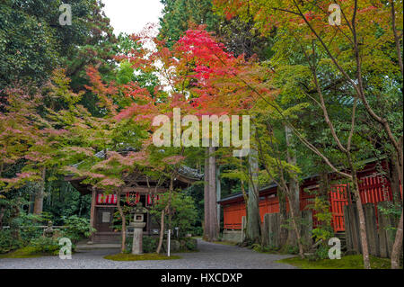 Kyoto, Japan - November 2016: Sekizan Zen-in, Japanese temple in Kyoto during autumn Stock Photo