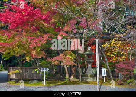 Kyoto, Japan - November 2016: Sekizan Zen-in, Japanese temple in Kyoto during autumn Stock Photo