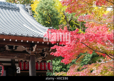 Kyoto, Japan - November 2016: Sekizan Zen-in, Japanese temple in Kyoto during autumn Stock Photo