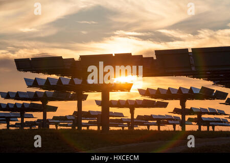 A field of photovoltaic solar panels providing alternative green energy at sunrise or sunset Stock Photo