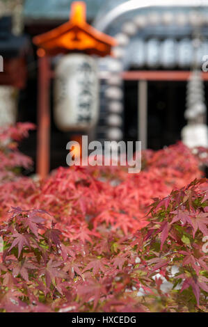 Kyoto, Japan - November 2016: Sekizan Zen-in, Japanese temple in Kyoto during autumn Stock Photo