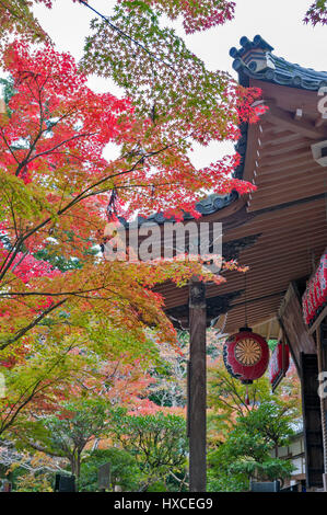 Kyoto, Japan - November 2016: Sekizan Zen-in, Japanese temple in Kyoto during autumn Stock Photo