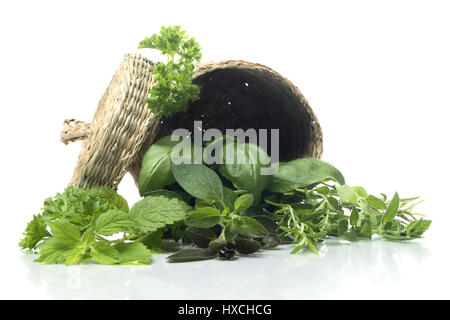 Basket with herbs, Korb mit Kraeuter Stock Photo