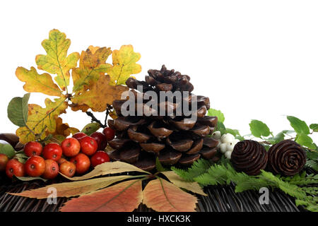 Fir cones, ornamental apples and foliage, Tannenzapfen, Zier‰pfel und Laub Stock Photo