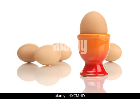 Cooked egg in the eggcup, Boiled harrow in harrow cup |, Gekochtes Ei im Eierbecher |Boiled egg in egg cup| Stock Photo