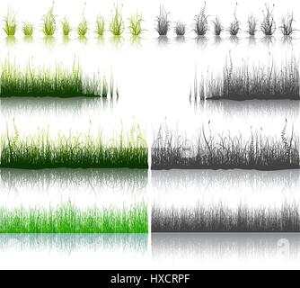 Set of Green and Black Grass isolated on white Stock Vector