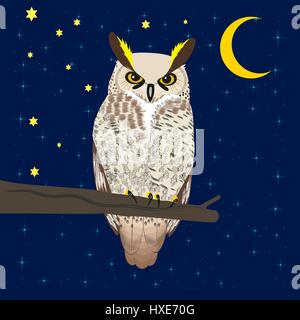Owl sits on a tree branch under the moon and starry sky Stock Vector