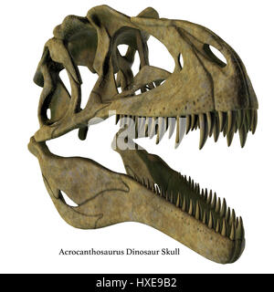 Acrocanthosaurus was a carnivorous theropod dinosaur that lived in North America in the Cretaceous Period. Stock Photo