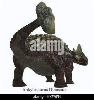 Ankylosaurus was a herbivorous armored dinosaur that lived in North America in the Cretaceous Period. Stock Photo