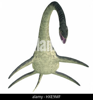 Elasmosaurus was a marine plesiosaur reptile that lived in North America seas in the Cretaceous Period. Stock Photo