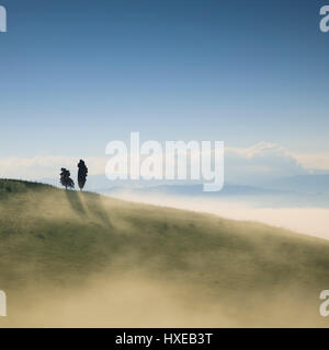 Tuscany, two lonely trees and fog in backlight. Volterra, Italy, Europe. Stock Photo