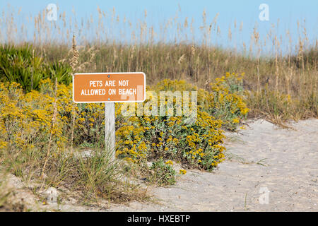 Pets not allowed on the beach, natural coastal habitat. Stock Photo