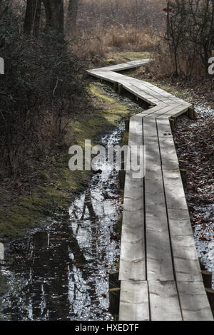 Curved wooden footpath through a wetland at spring season Stock Photo