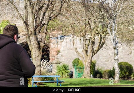 Man flying a radio controlled small toy drone in a park. Conwy, Wales, UK, Britain Stock Photo