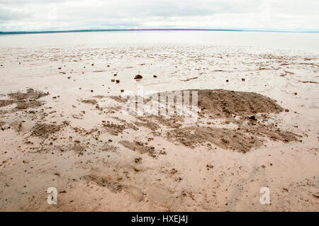 Low Tide Beach on Bay of Fundy - New Brunswick - Canada Stock Photo