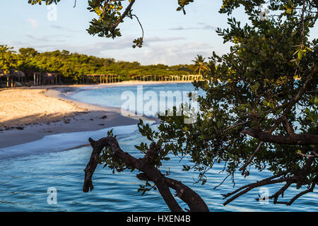 This was captured shortly after sunrise one morning whilst walking along a beach in Cayo Coco. Stock Photo