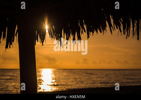 The low sun pierces through the leaves of a beach parasol in Cuba. Stock Photo