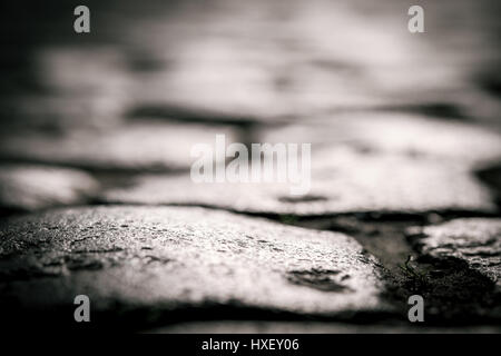 Waregem, Belgium. 22nd March, 2017. Detail of cobbles (Herlegemstraat) during the 2017 Dwars Door Vlaanderen one day cycle race. Stock Photo